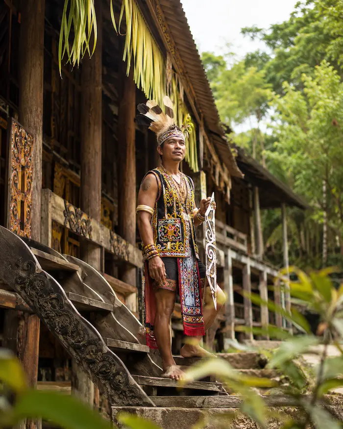 Malaysia rainforest canopy, limestone hills and a domestic travel route illustration